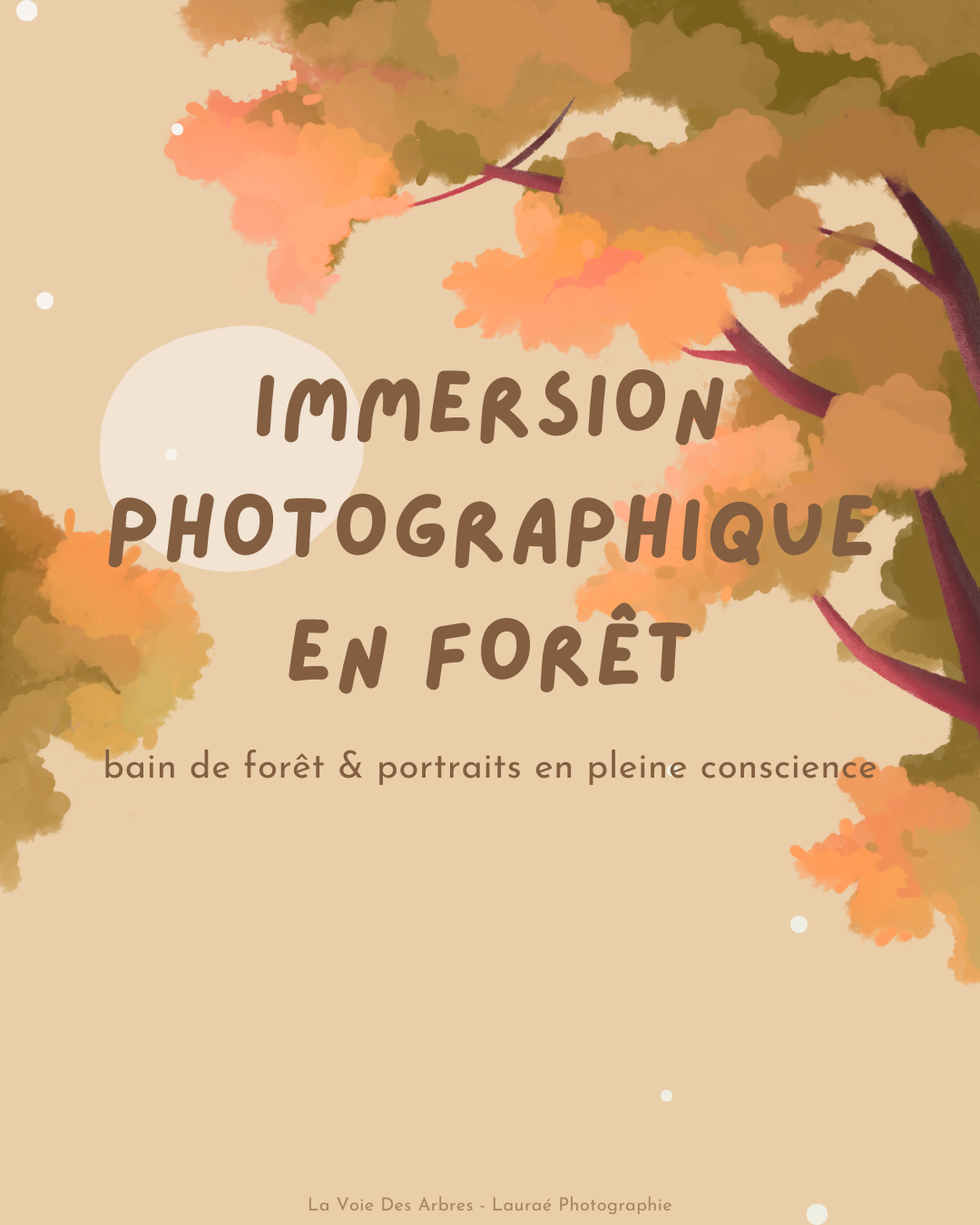 Immersion photographique visuel.png